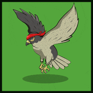 falcon, character design, hover, animation, mobile game