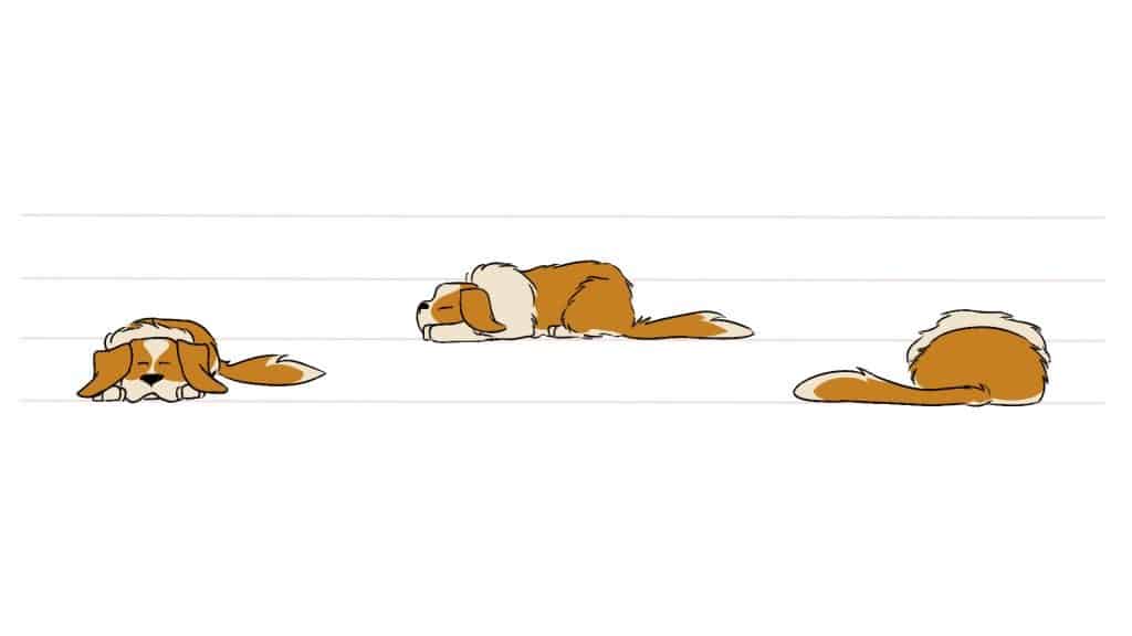 How to Draw Dogs, Draw a St. Bernard Sleeping Step by Step
