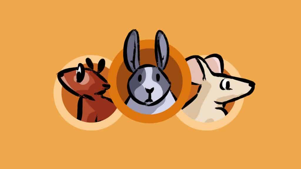 Draw Bunnies and other Rodents on Udemy! by Don Corgi