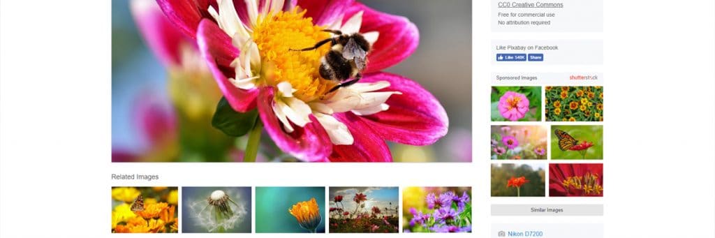Pixabay is a good website for downloading CC0 images, totally free!