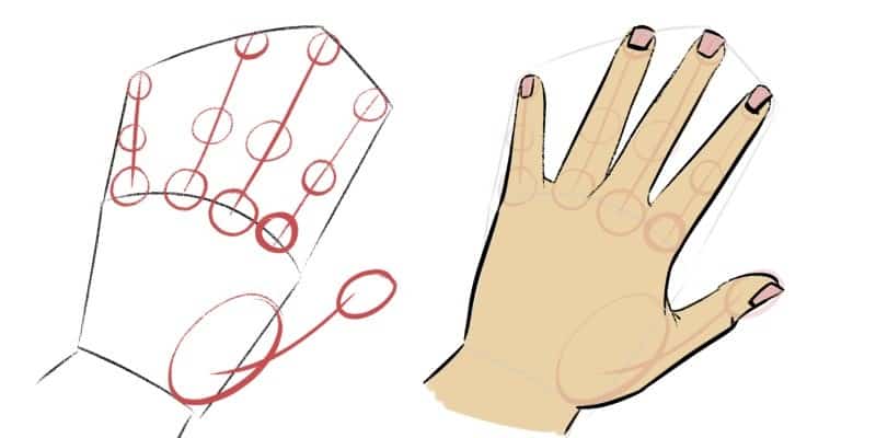 Draw circles for the finger joints, it makes drawing hands much easier