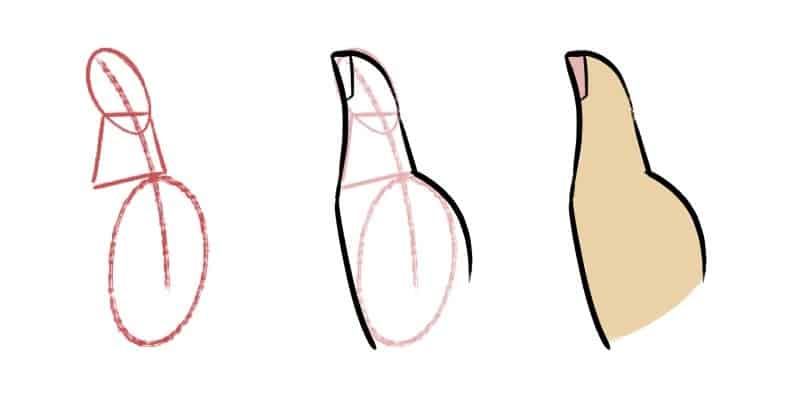 The thumb is drawn differently than the rest of the fingers, here's how you draw the thumb.