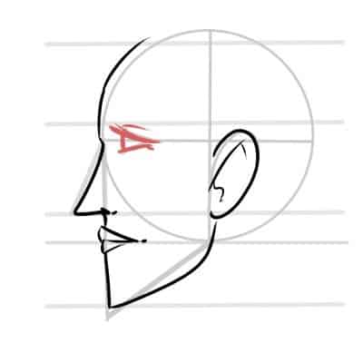 The eyes have a cone shade when drawing a face from the side.
