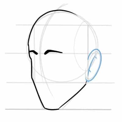 The eyebrows and ears can be simply drawn like this.