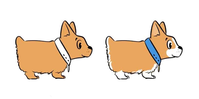 Finally let's give our corgi drawing some color!