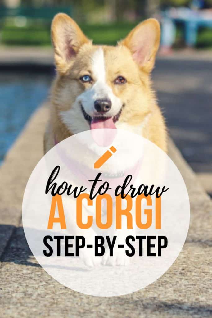 How To Draw An Adorable Corgi Step by Step! 