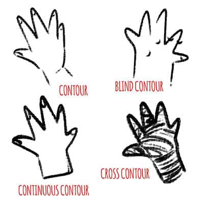 image showing different types of contour drawing: contour, blind contour, continuous contour and cross contour