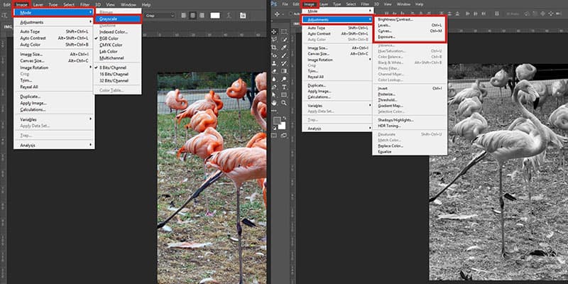 Here's how you can study the values of your images on a software of your choice!