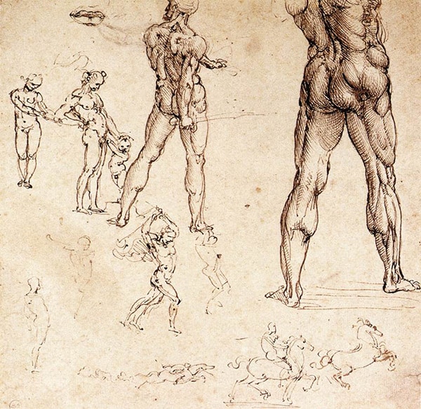 freehand anatomical gesture drawing studies by leonardo davinci