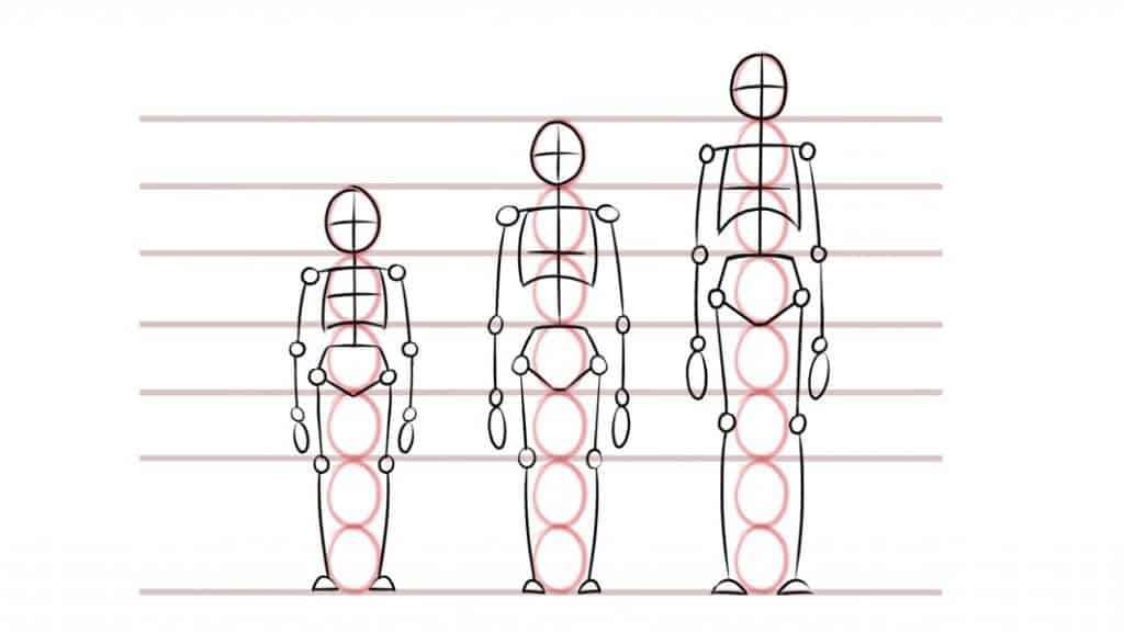 image showing different human proportions
