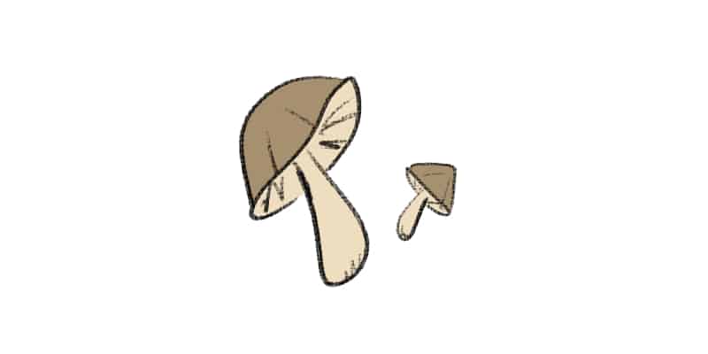 cute drawing of mushrooms