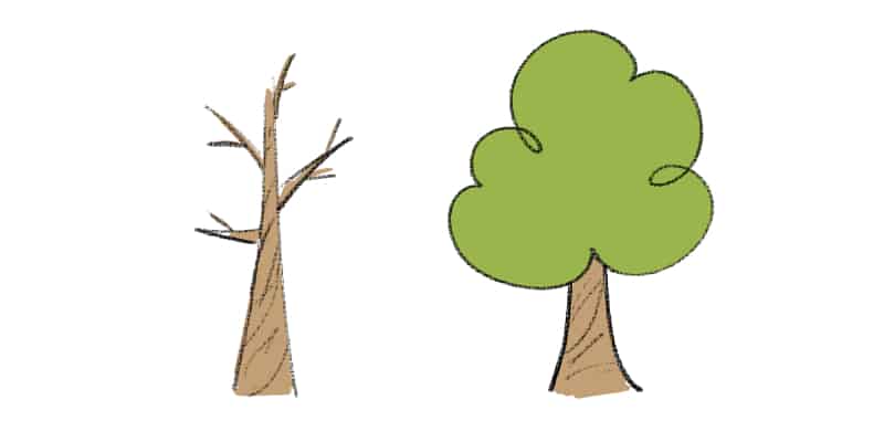 drawing of two different trees, a great and easy thing to draw