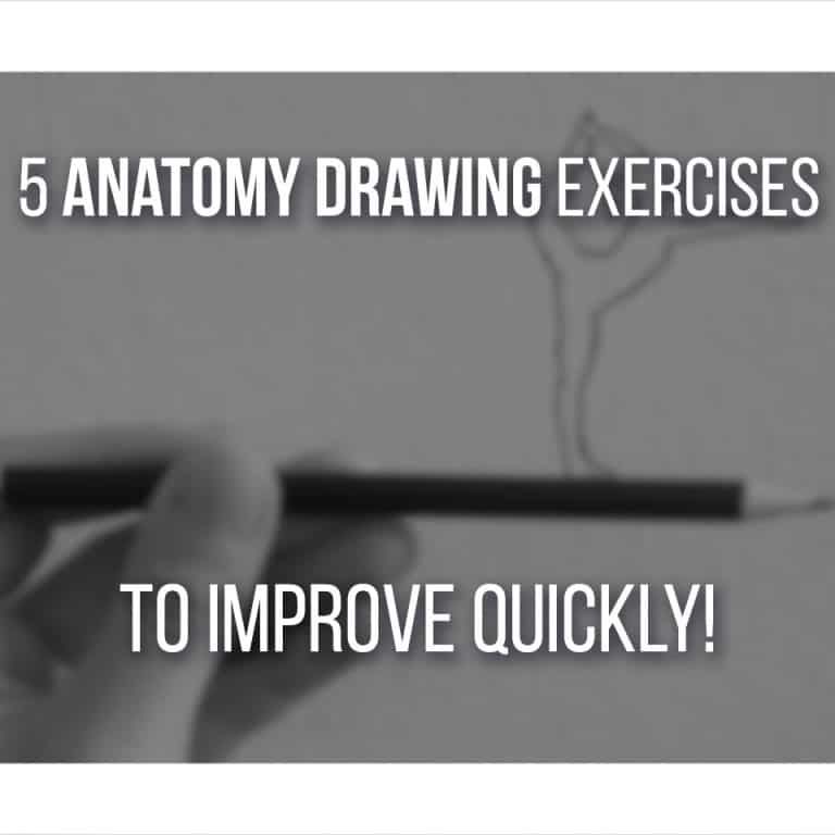 anatomy drawing exercises cover