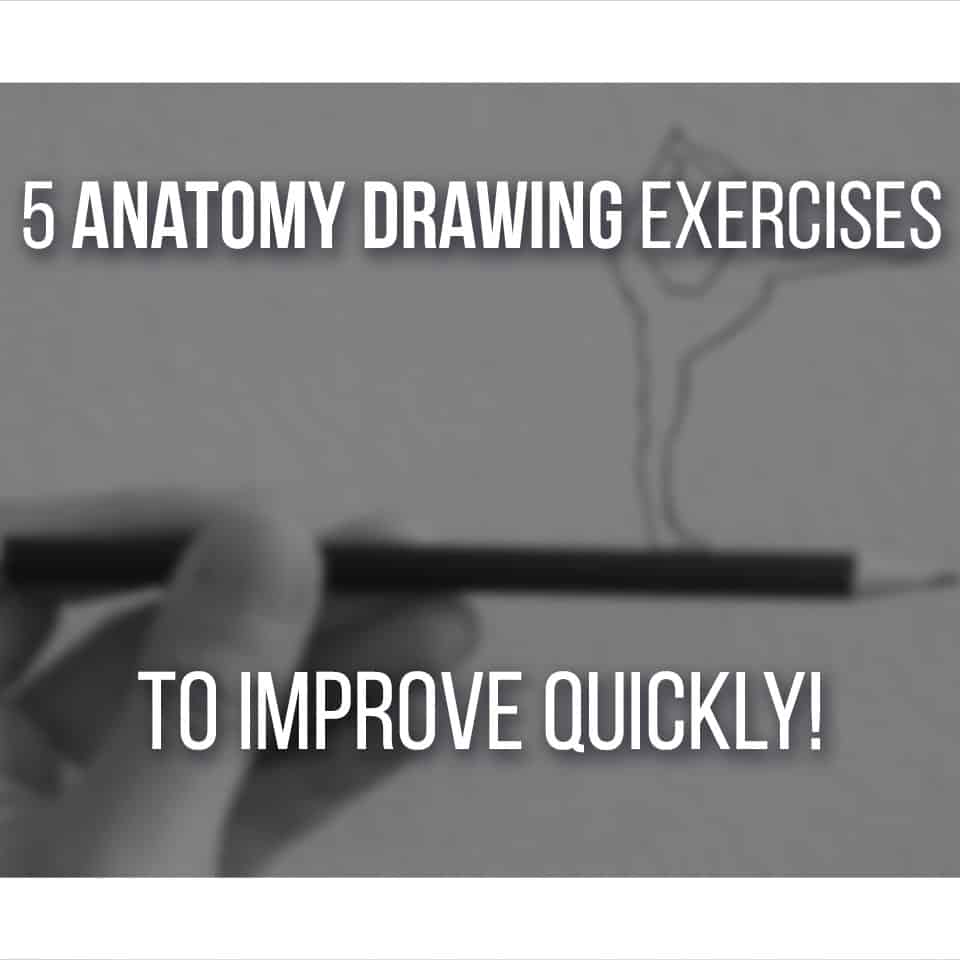 5 Anatomy Drawing Exercises To Improve Quickly!