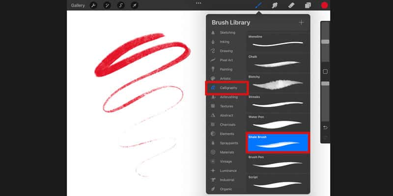 the shale brush, a calligraphy default procreate brush