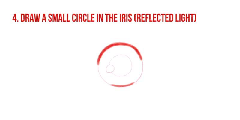 step 4, draw a small circle of the iris for the reflected light