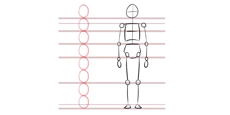 Drawing The Shapes Of The Human Body