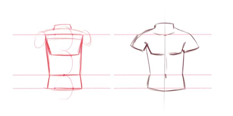 Drawing The Torso Using Simple Shapes