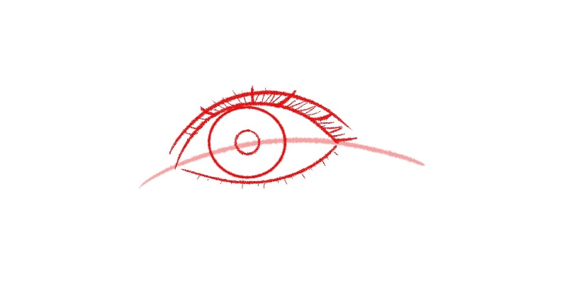drawing of an eye with a double eyelid