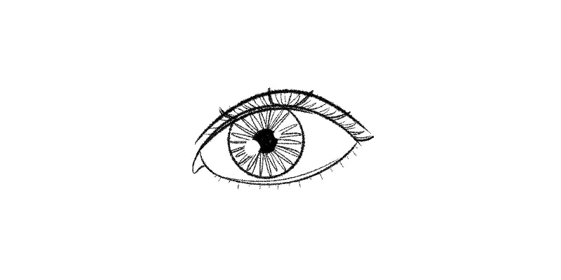 cleaned sketch of an eye