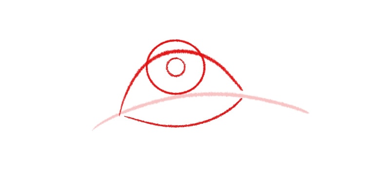 drawing of the iris of an eye looking up