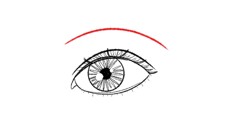 eyebrow guideline on top of an eye drawing