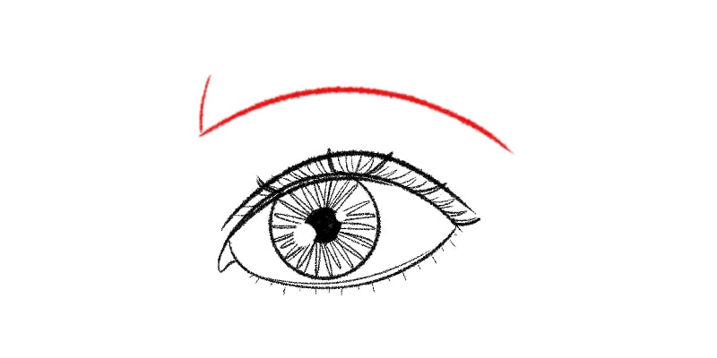 How to Draw a Cat Eye - Easy Drawing Art-sonthuy.vn