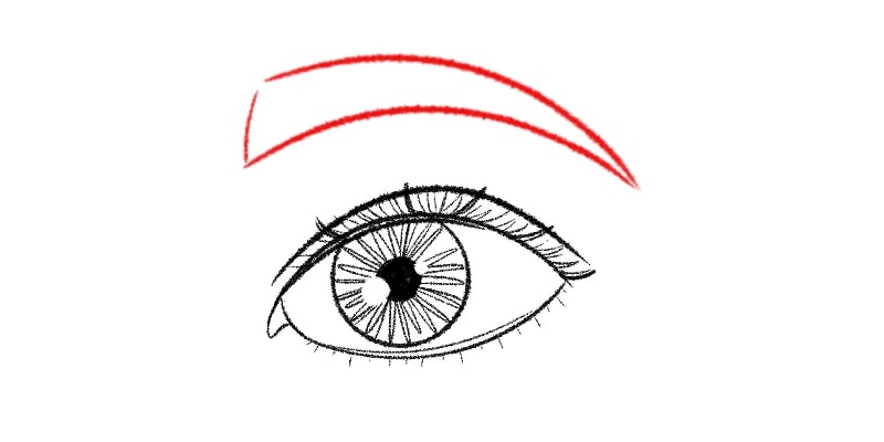 final drawing of guidelines of an eyebrow