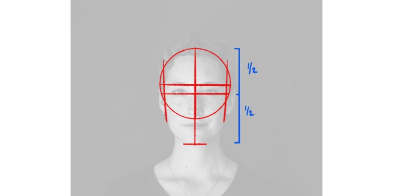 Image showing The Distance Between The Eye Line And The Top Of The Head Is The Same As Between The Eye Line And The Chin