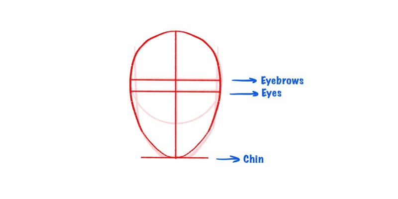image showing the placement of the eyebrows, eyes and chin when drawing a head easy
