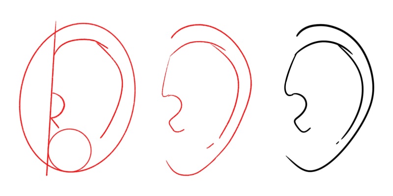 drawing of an ear with 3 different steps, from sketch to cleaned final lines