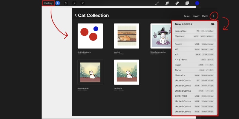 Tap Gallery To Go Back To Your File Library Then Tap The Plus Sign And Create A New Canvas