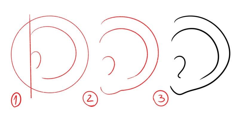 3 simple steps to draw a round ear