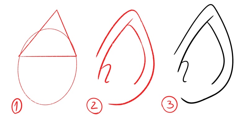 image of 3 different steps to draw an elf ear