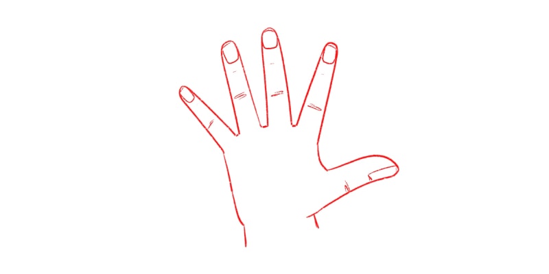 drawing of the back of a hand with details on the knuckles and fingernails