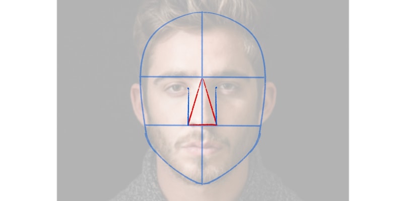 image showing the width of the nose according to a reference image
