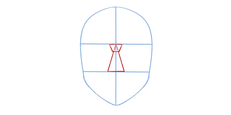 base head shape with a trapezium shape between the eyes for the top part of the nose