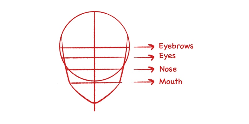 image showing how to Divide The Area Between The Eyes And Chin Into Three Parts To Find The Nose And Mouth Line