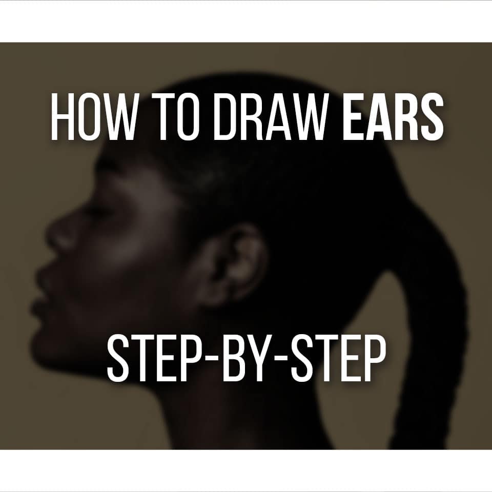 Ears Drawing Step By Step Tutorial - Nevue Fine Art Marketing