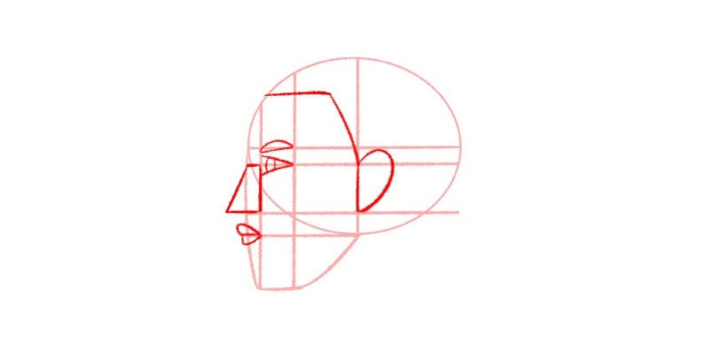 Draw A Diagonal Line Connecting To The Eyeline Near The Ear
