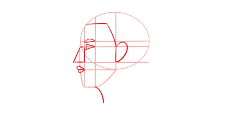 Draw A Curved Line Where The Chin Connects With The Jawline