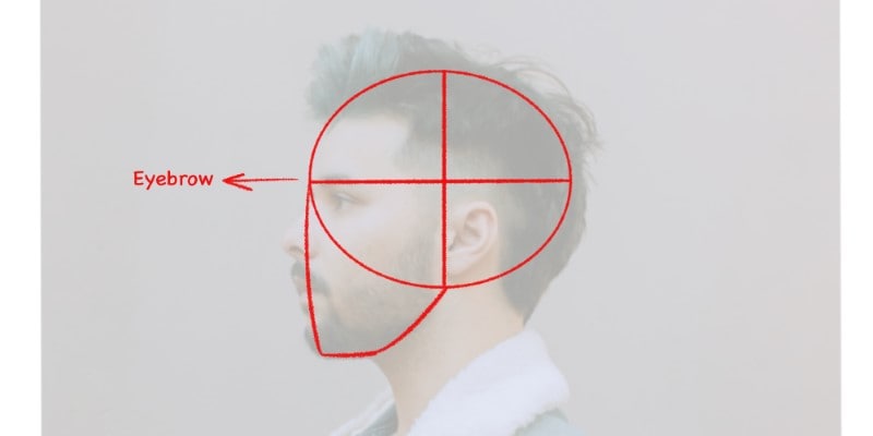 find the eyebrow line on the face drawn from the side