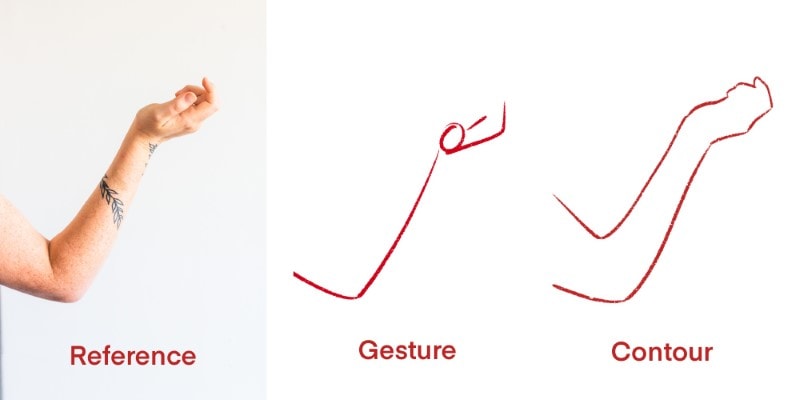 image showing a reference photo, a gesture drawing of that reference, and a contour drawing. Showing the differences between gesture and contour drawing