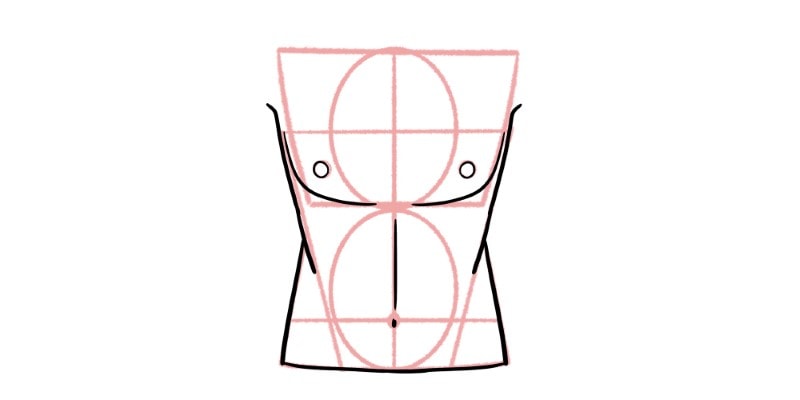 image showing how to draw the torso of the human body, with guidelines