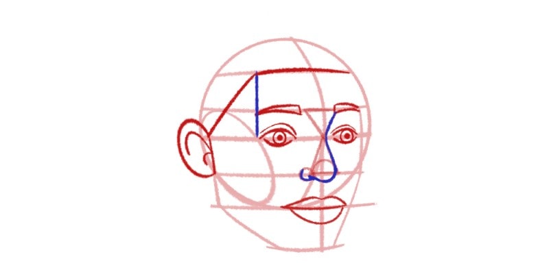 drawing the hair guidelines on the head