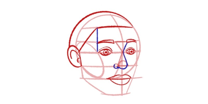 adding a simple curve line on the top of the head shape for the hair base