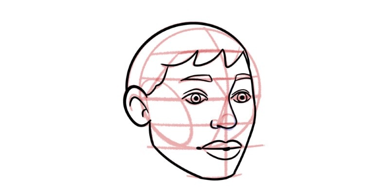 a 3/4 face view drawing cleaned up with the base guidelines