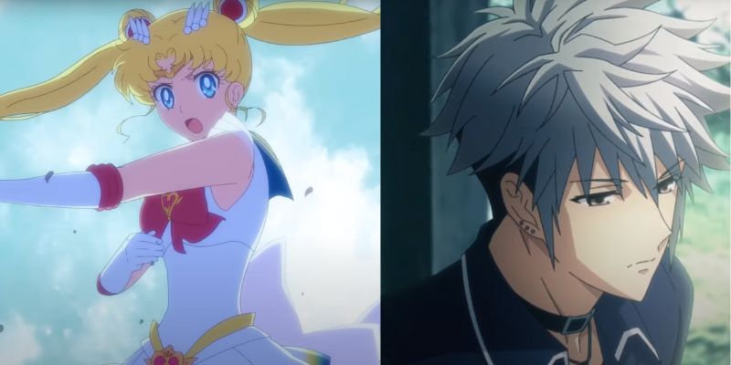 Examples of Sailor Moon and Fruits Basket, a Shōjo (Shoujo) Anime Style