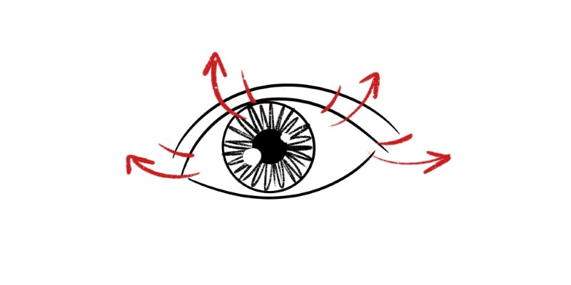 Follow The Eyelid Curvature when drawing eyelashes