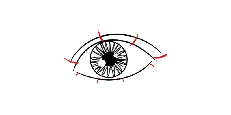 image showing how to draw eyelashes, adding strokes to the bottom eyelid